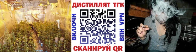 сколько стоит  Нязепетровск  Дистиллят ТГК жижа 