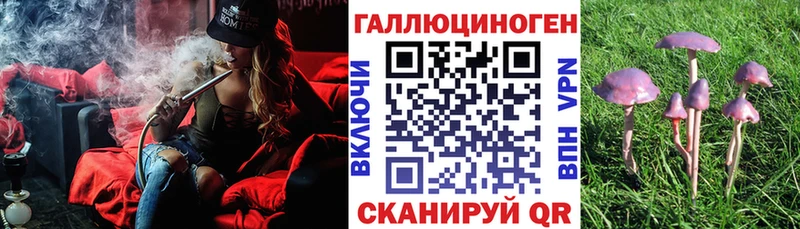 как найти   Нязепетровск  Псилоцибиновые грибы Psilocybine cubensis 